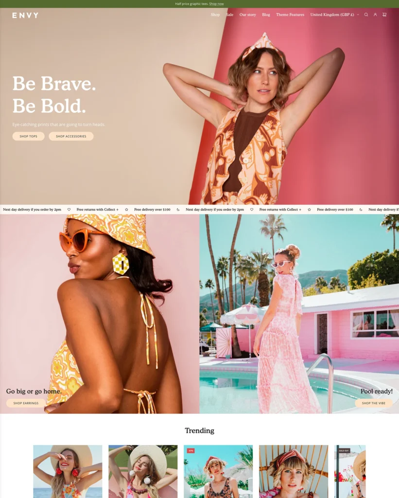 Mejores temas premium de Shopify Envy