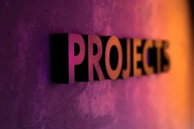 Desarrollo de Proyectos, Negocios y Empresas