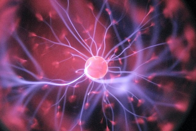 ¿Qué es el Neuromarketing?
