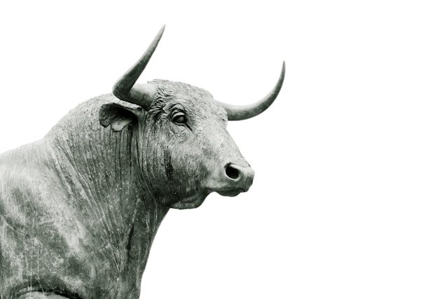 Fase de Salida en una startup